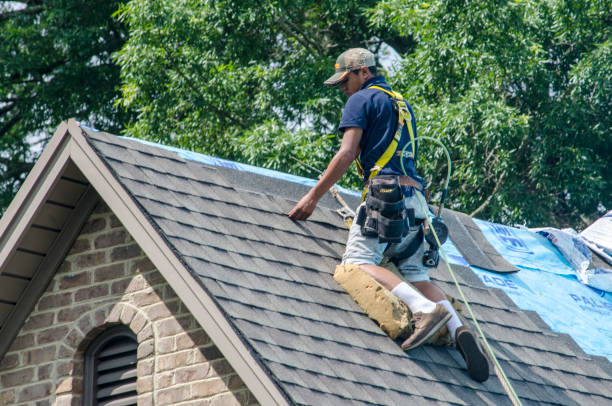 Best Residential Roofing Contractor  in New Buffalo, MI